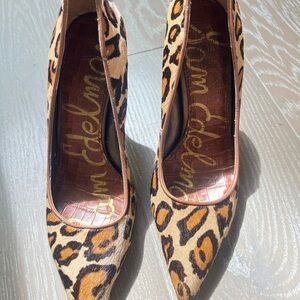 Sam  Edelman Leopard Print Women's Pointed Toe Heels - Brown/Black